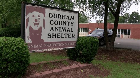 Durham county animal shelter - 4 days ago · The Animal Center Adoption Floor is open from noon–6 p.m., seven days a week. Animal Services business hours are Monday–Friday, 8:30 a.m.–6 p.m. You can reach the Wake County Animal Center by phone: 919-212-7387 or email: animalcenter@wake.gov. See holiday and closings on the main Wake County …